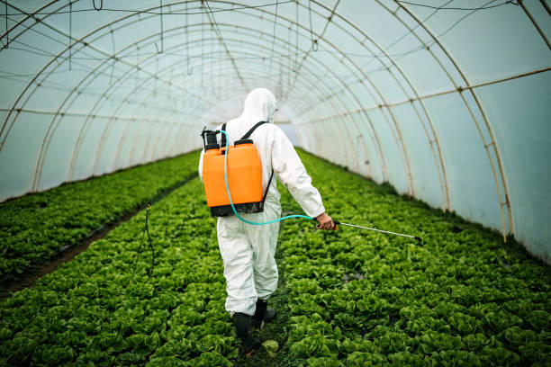 Best Local Pest Control Services  in Branson, MO