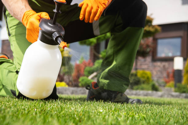 Best Bird Control  in Branson, MO