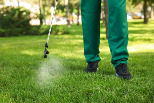 Professional Pest Control in Branson, MO