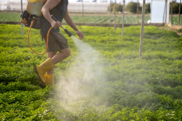 Best Mosquito Control Services  in Branson, MO