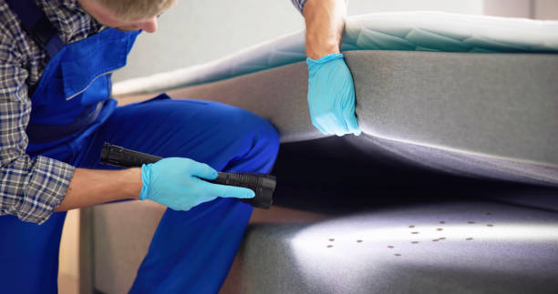 Best Pest Removal Services  in Branson, MO