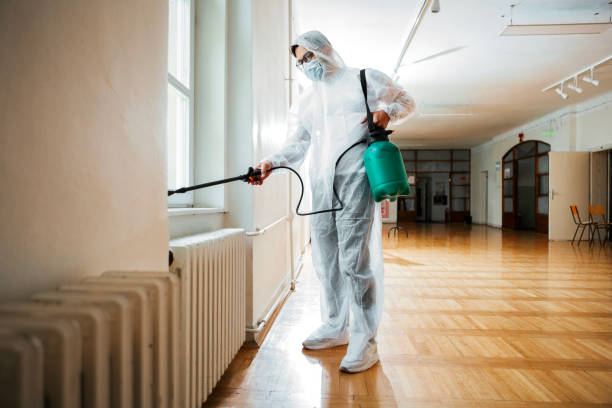 Best Mosquito Control Services  in Branson, MO