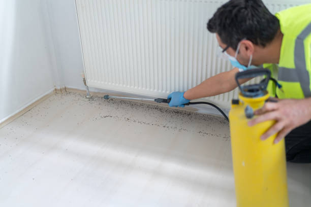 Pest Prevention Services in Branson, MO