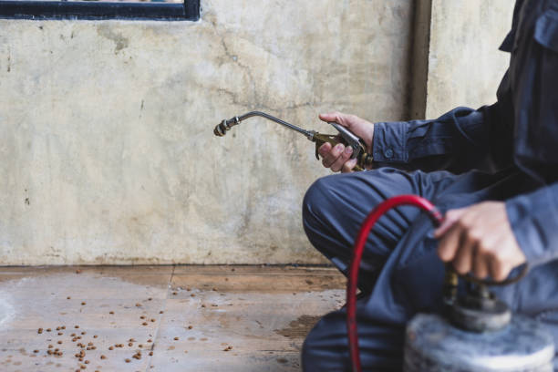 Best Best Pest Control Companies  in Branson, MO