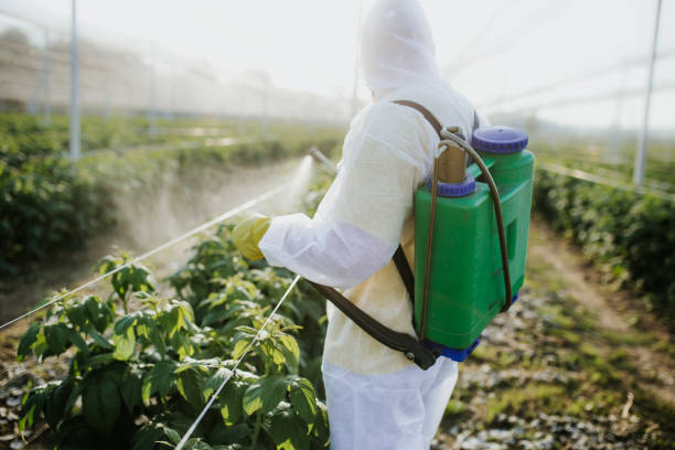 Best Pest Control Near Me  in Branson, MO
